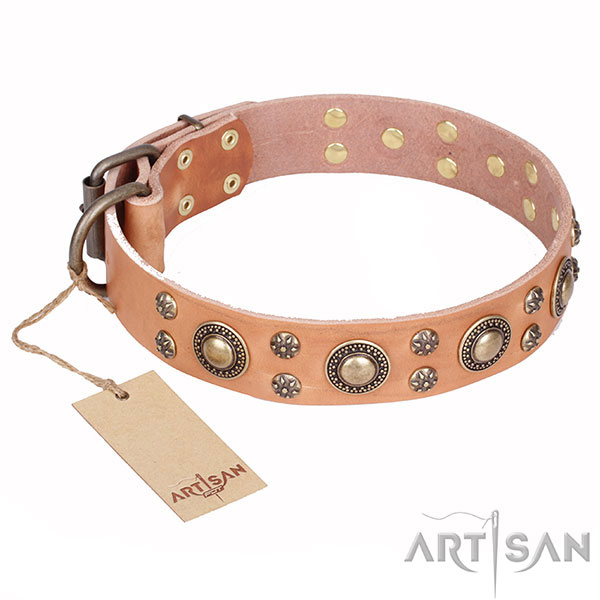 Tan Dog Collar of Unique FDT Artisan Design