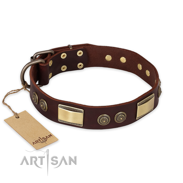 Stylish Dog Collar with Bronze Look Adornment