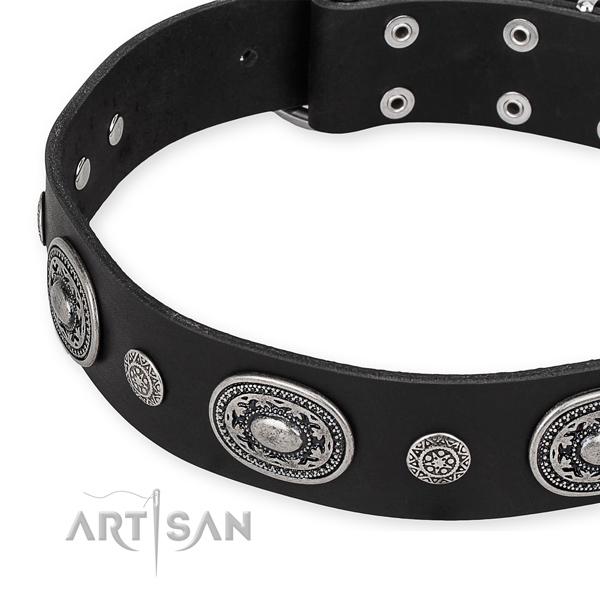 Stylish Dog Collar with Silver-Like Decorative Parts