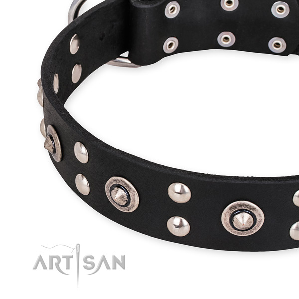Black Leather Dog Collar Decorated with Round Studs