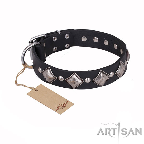 Leather Dog Collar with Rust Resistant Decorations