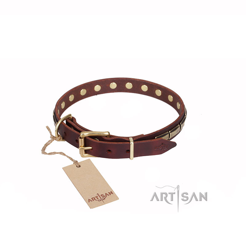 Leather Dog Collar with Brass Plates