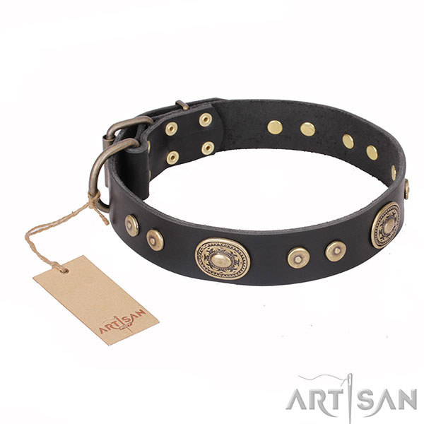 Stylish Dog Collar with Gold-Like Decor