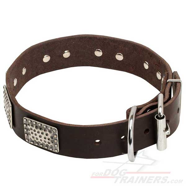 Leather Dog Collar with Rust-proof Fittings
