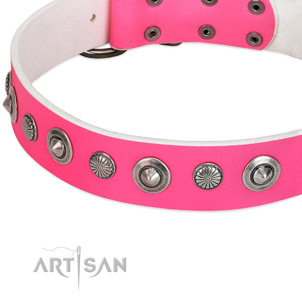 Leather Dog Collar Decorated with Studs