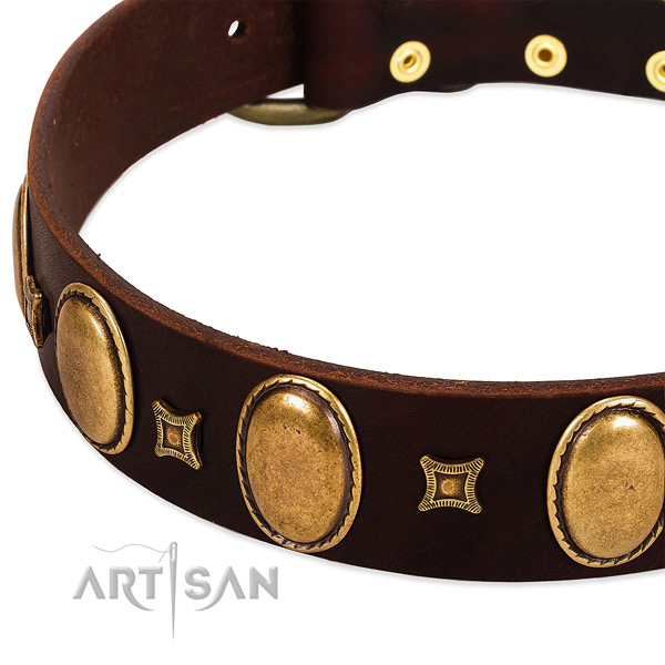 Fancy Style Leather Dog Collar with Studs and Oval Plates