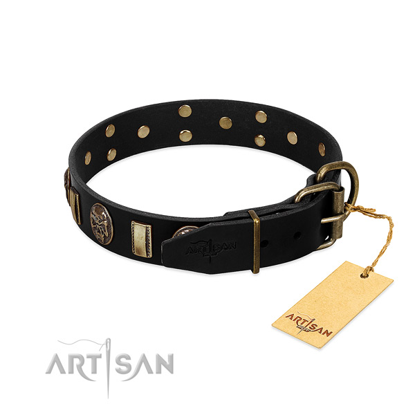 Adjustable Leather Dog Collar with Buckle and D-ring