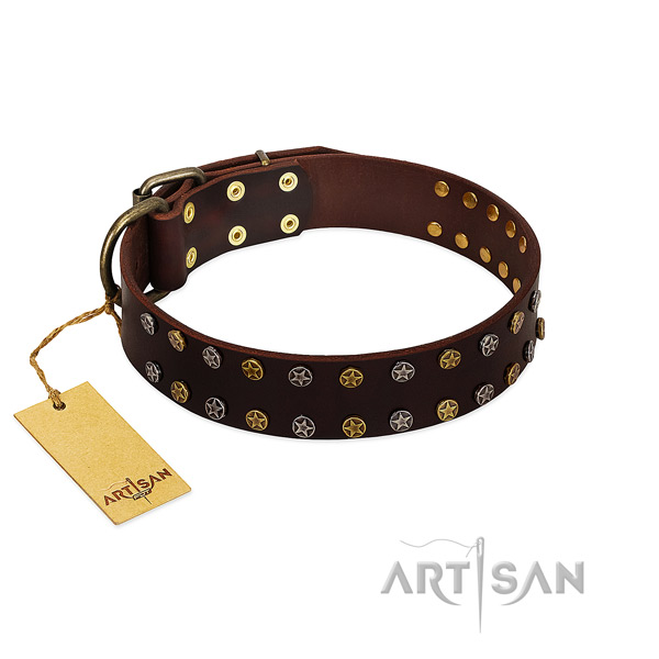 Brown leather dog collar of the best quality