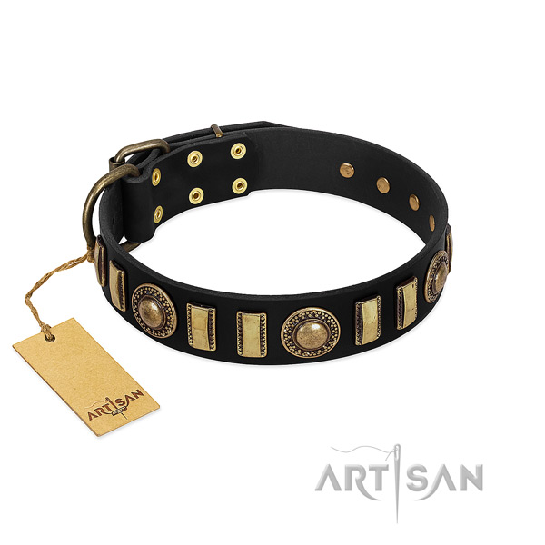 Exclusive FDT Artisan leather dog collar for walking