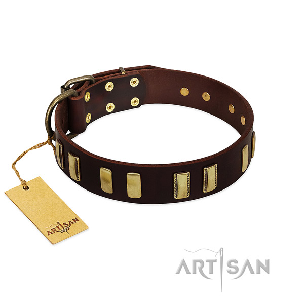 Matchless Brown Leather Dog Collar Decorated with Fashionable Decorations