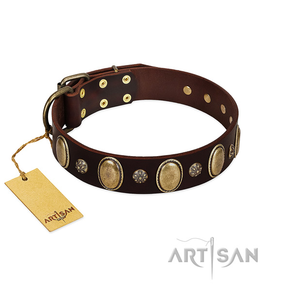 Decorated Brown Leather Dog Collar with Incredible Design