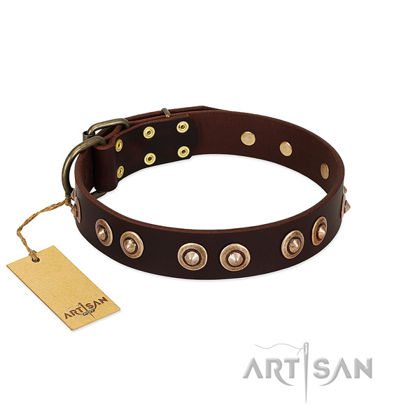 Easy adjustable brown leather dog collar