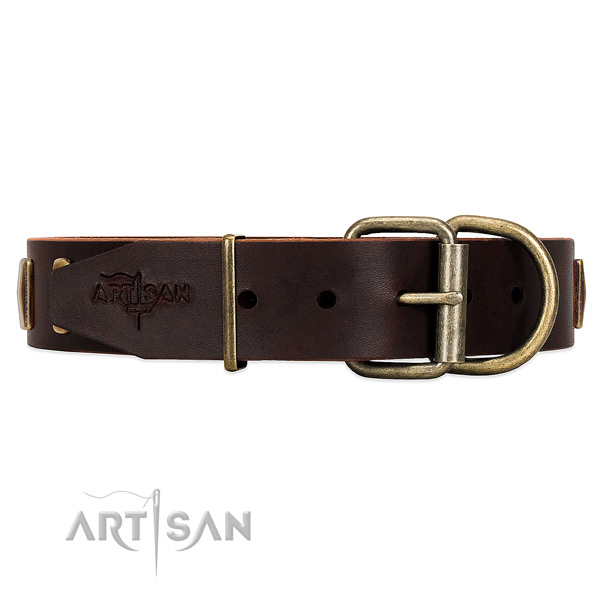 Rust Resistant Old Bronze-like Plated Fittings on Brown Leather Dog Collar