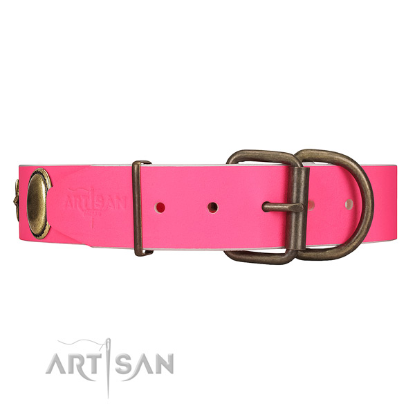 Pink dog collar with old bronze-like fittings