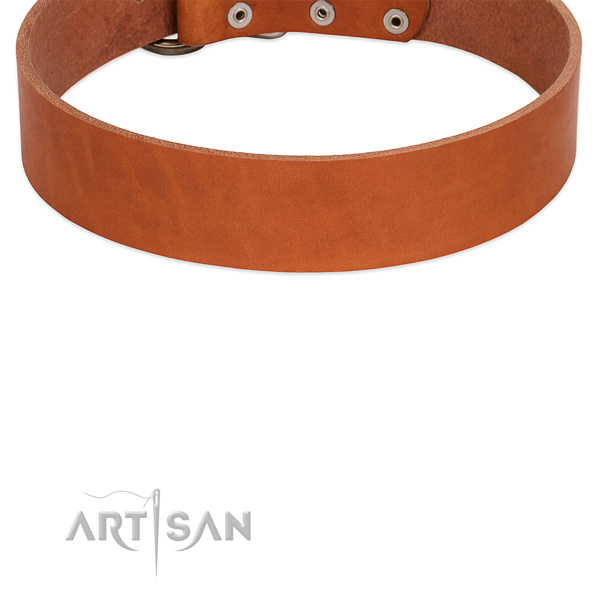 Comfy Leather Dog Collar with Edges Waxed and Polished