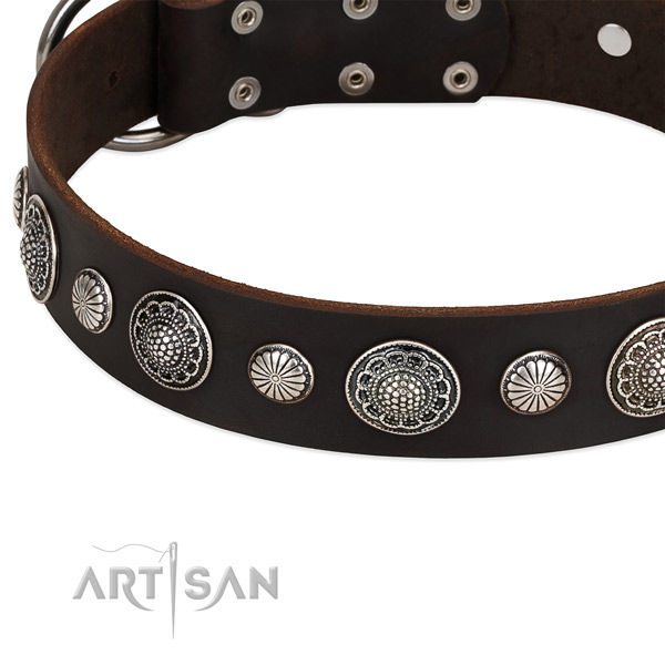 Studs and circles on FDT Artisan leather dog collar