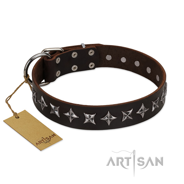 Brown leather dog collar for daily walking