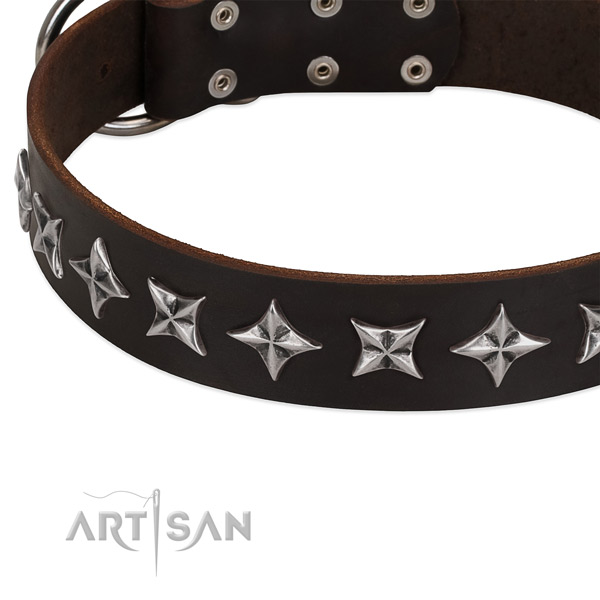Matchless chrome-plated stars on FDT Artisan leather dog collar