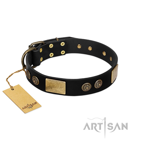 Black dog collar made of top quality materials