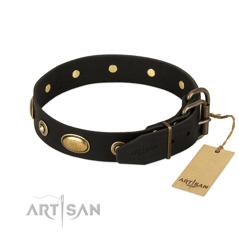 Decorative Leather Dog Collar with Reliable Fittings