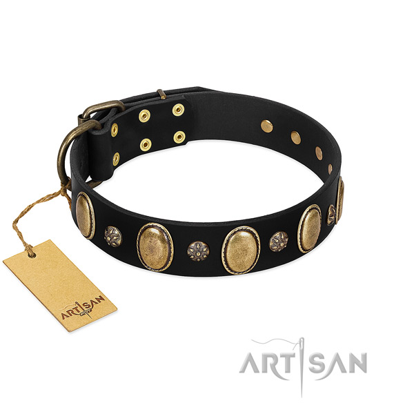 Decorated Leather Dog Collar Made of Safe Materials