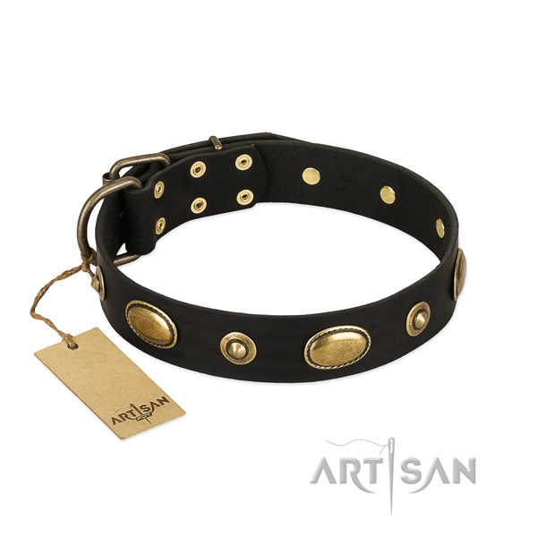Leather Dog Collar of Safe Materials