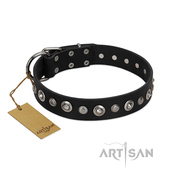 Premium quality leather dog collar for comfortable wear
