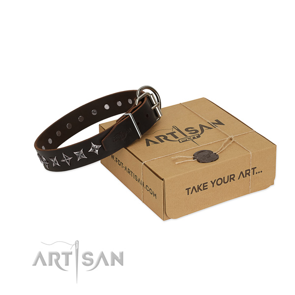 Dependable brown leather FDT Artisan dog collar