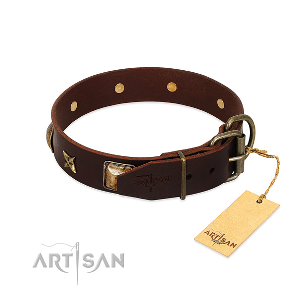 Brown dog collar with old bronze-like hardware