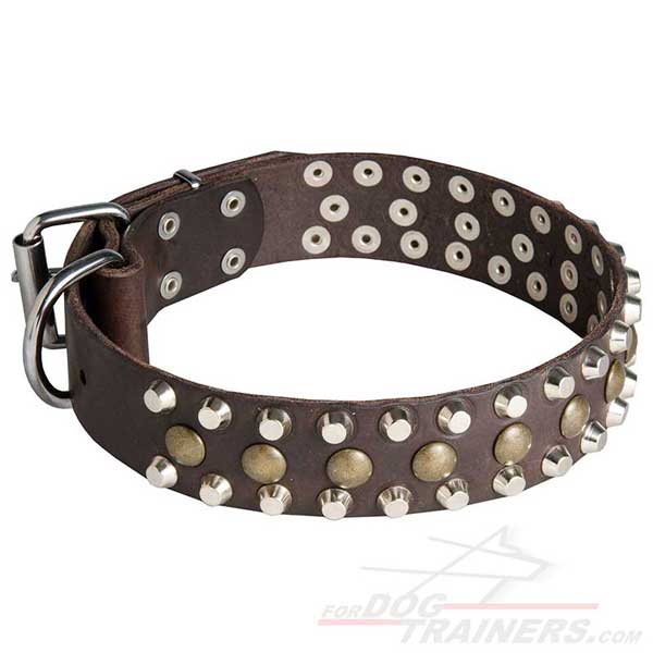 Fancy decorated leather dog collar with spikes studs