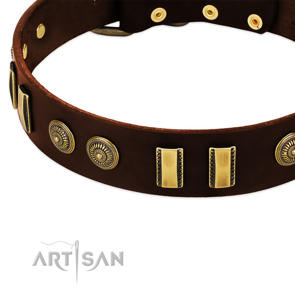 Comfy brown leather dog collar with decorations