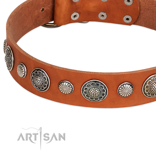 Silver-like adornments on FDT Artisan leather dog collar
