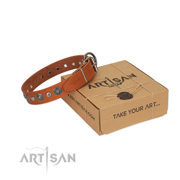 Tan leather FDT Artisan dog collar for daily walking