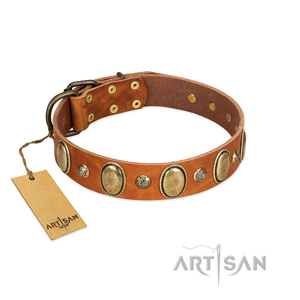 Tan Artisan leather dog collar with riveted decorations