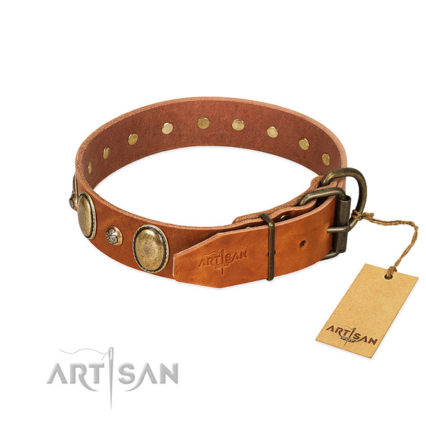 Soft tan Artisan dog collar for comfortable daily wear