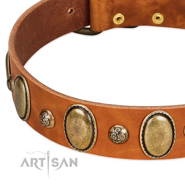 Tan leather FDT Artisan collar with oval and round decorations