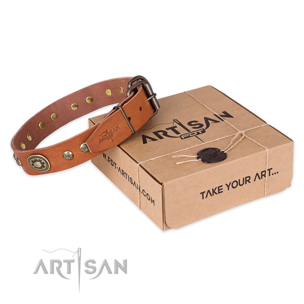 Natural Leather Collar for Your Pet