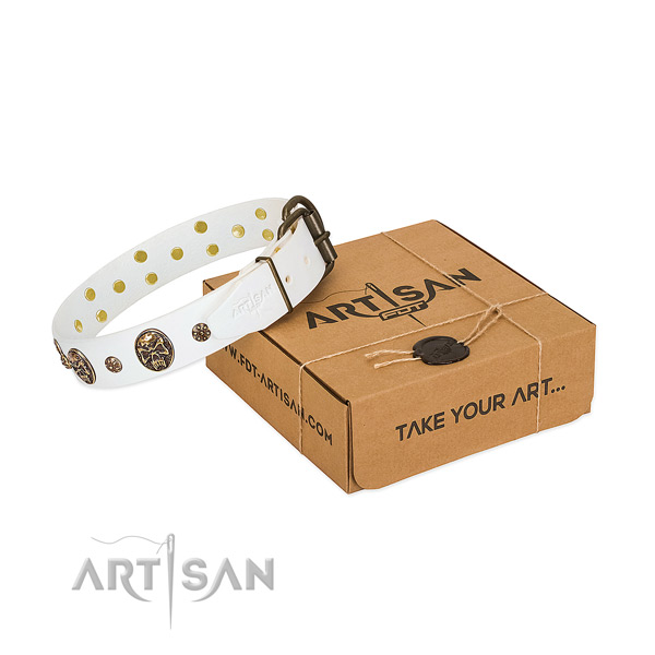 White leather dog collar for bright personalities