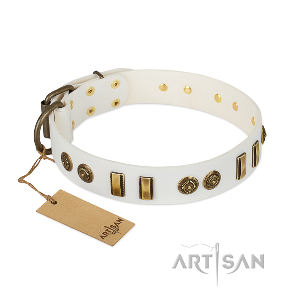 White leather dog collar with rust-proof adornment