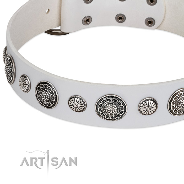 Silver-like adornments on FDT Artisan leather dog collar