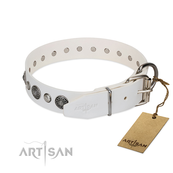 White leather FDT Artisan dog collar with sturdy chrome-plated buckle