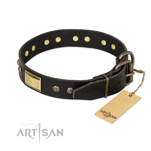New Design Leather Collar with Rich Look Hardware