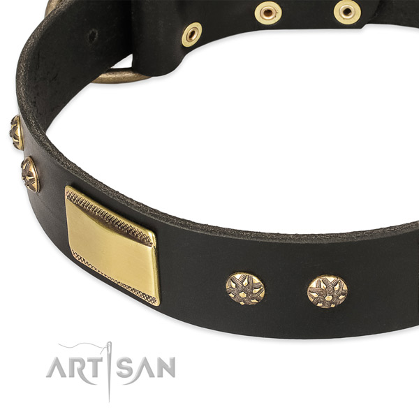 Strong leather dog collar with buckle and D-ring