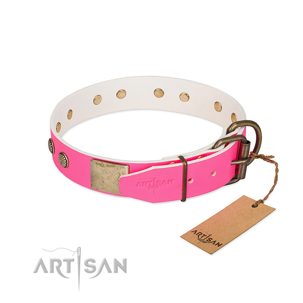 FDT Artisan leather dog collar with dependable hardware