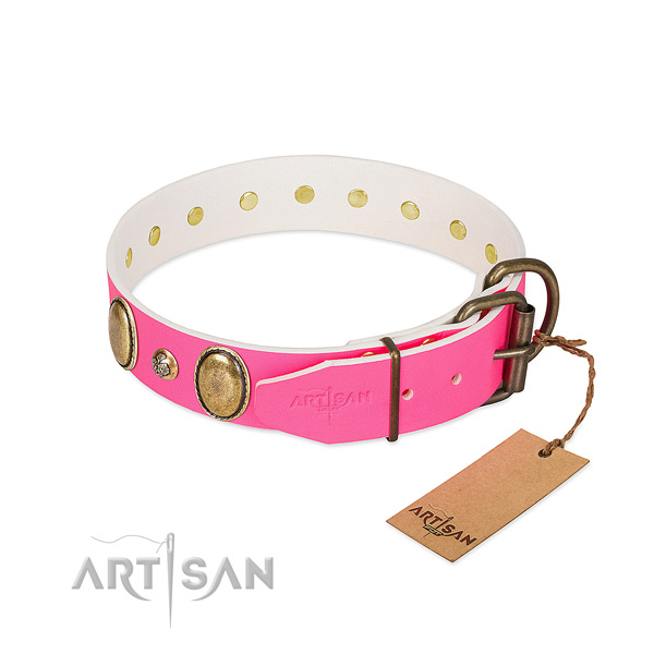 Premium quality Artisan dog collar for daily wear