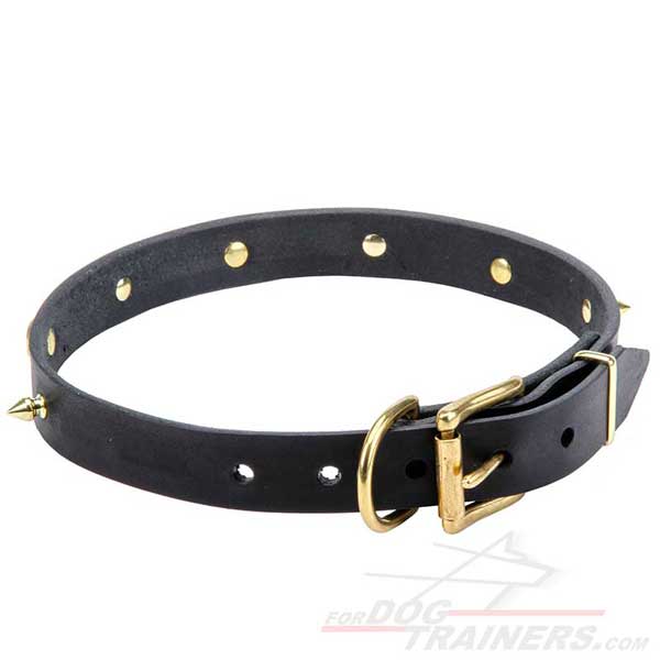 Leather dog collar with reliable brass hardware