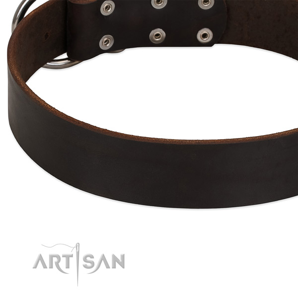 Comfortable Leather Dog Collar with Edges Waxed and Polished