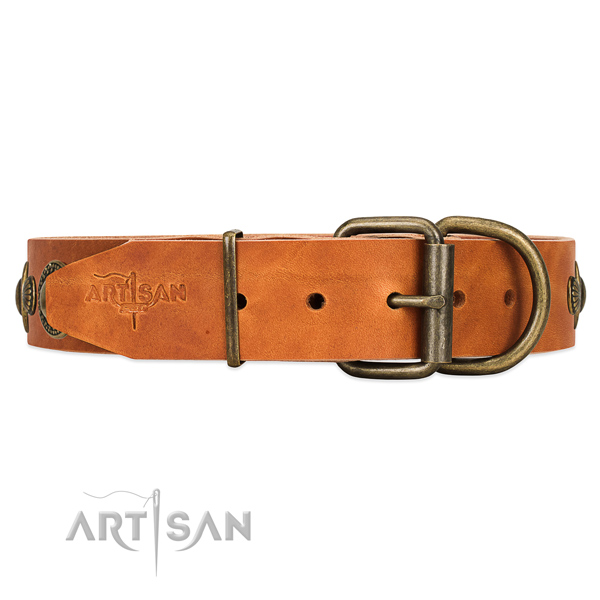 Wear-proof leather dog collar with traditional buckle