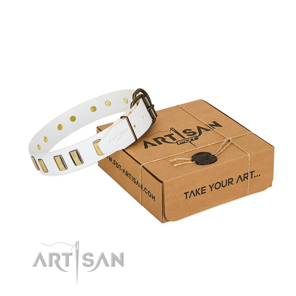 Outstanding white leather dog collar for stylish dogs