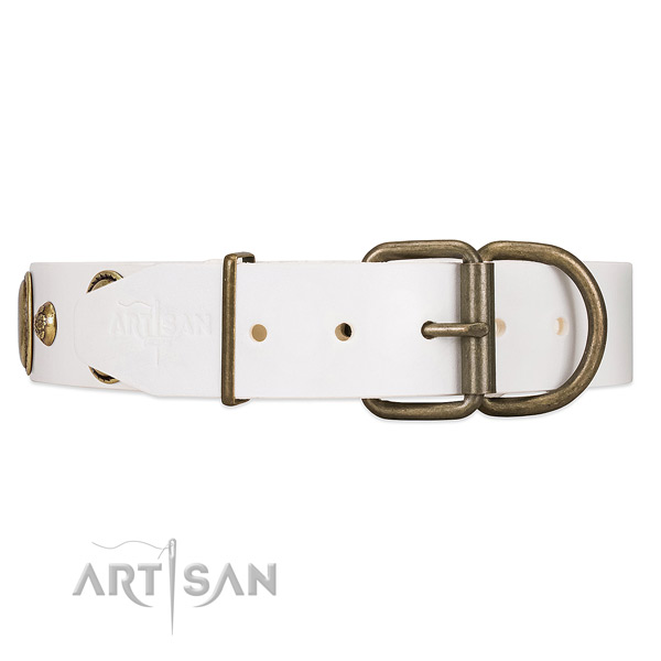 White dog collar with old bronze-like hardware